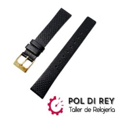 Correa Lacoste LC.79.3.34.2970